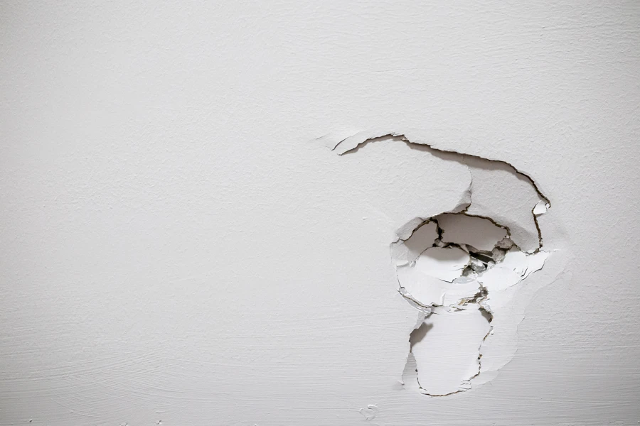 Drywall Repair