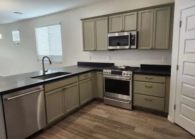 Professional Painter