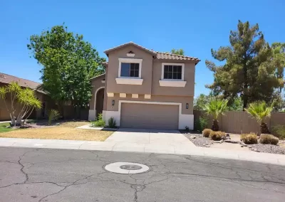 Professional Painter