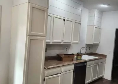 Professional Painter