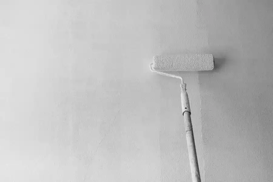 Vail Painting LLC's other services